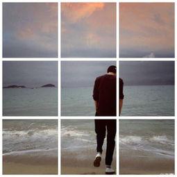 吃瓜六宫格,吃瓜六宫格带你领略后宫风云